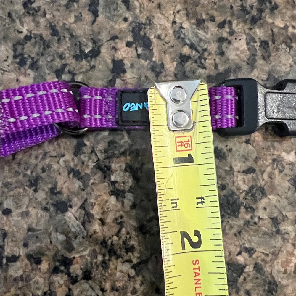 Max & Neo Purple Dog Collar - Picture 4 of 4